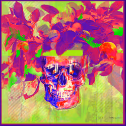 82404512458054774201006630424624239818980888168085854843333275799439624110081