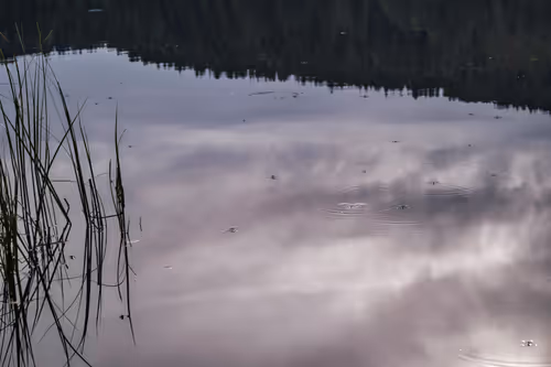 Item #96484217895313023525666764688055076521660882072922659713418731712243507920897 Media