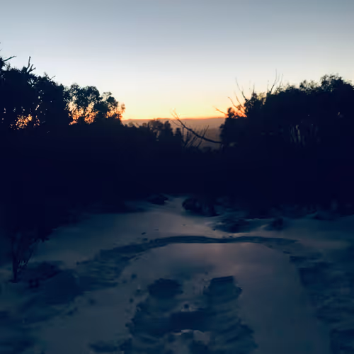 Untitled Collection #75322778