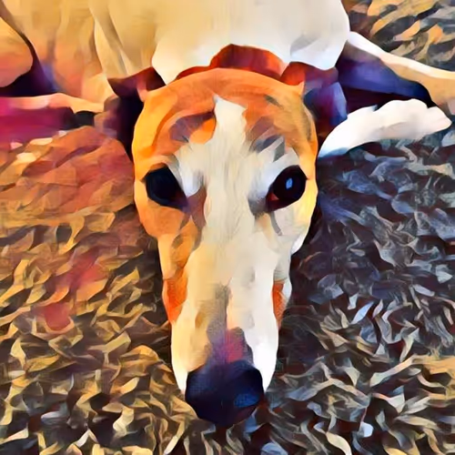 113233535435930126246803406212525192330824104616936385021501681204511060787201