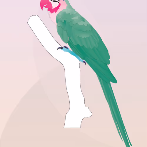Vector Birds