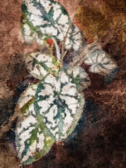 Item #69261177602478584146078213691104273677815526894191982293268527856242860752897 Media