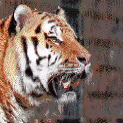 ASCII Animals - Tiger