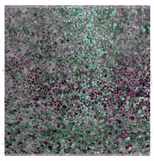 Item #21421733011372211757949992477386448125560528376060899824271976700561818910721 Media