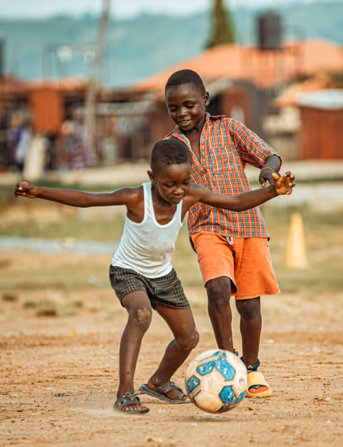 Item #69785723640001619757607758750255893339862372780250443418750514867497867411457 Media