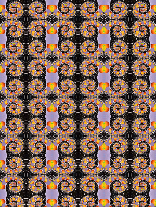 Item #115354016198784602504913201642553345847924981366418556428971122716208908992513 Media