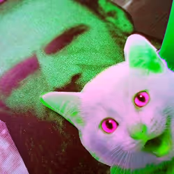 4747115153065902387790593868107453782499677024781155622119189988402404524033