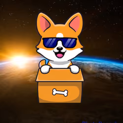 shiba inu #48