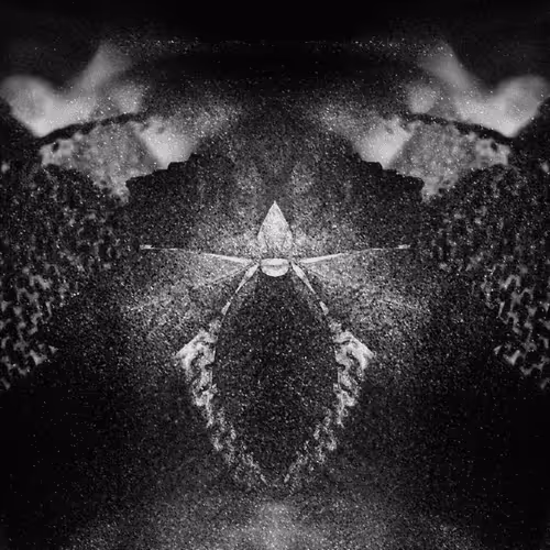 stwawahevil Collection