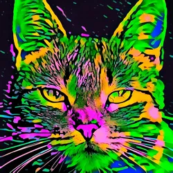 50830097462543580601473563981388698009005024090223633461481089790950925926401