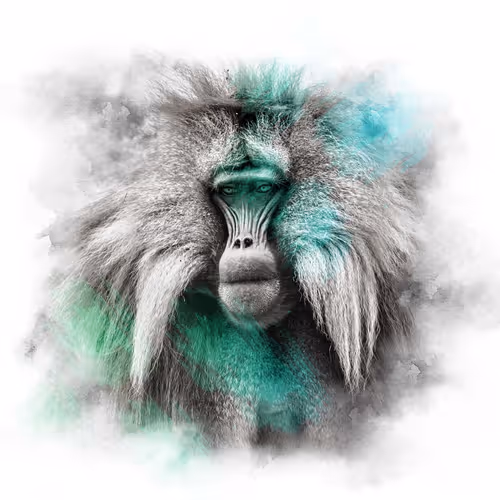 The Animal Kingdom Collection