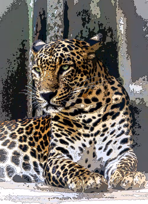 Item #112706814490930413132795555787302569515543672113453404084317514504087327997953 Media