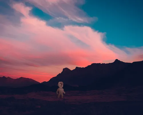 Item #23345795810903868231652403688740103220345073387888217764952747003982884372481 Media