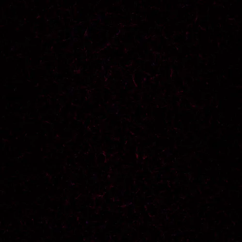 51929734946411346289540790635765095060363125039145709683616697294796170985473