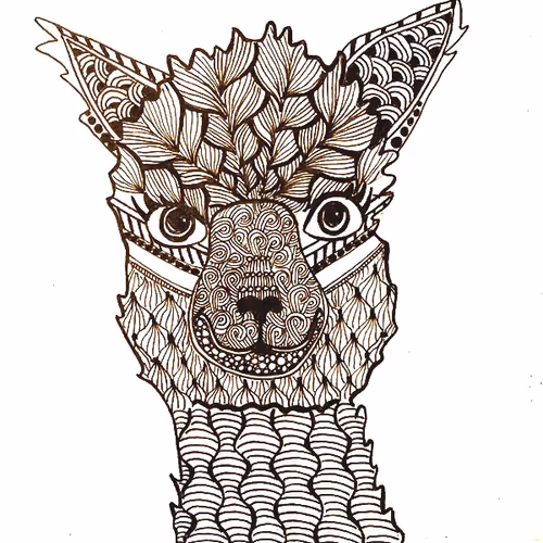 Lama