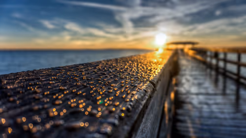 Item #5159867049349733485857806564982430960448309033464066462878907925935171829761 Media