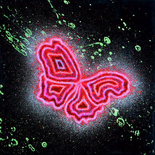 Item #31878015786887625449379653420806268900262982390960709769222713643196162768897 Media