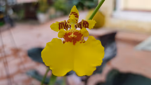 Item #9219050150944409377619180316701258752688903686194552541810005487526931857409 Media