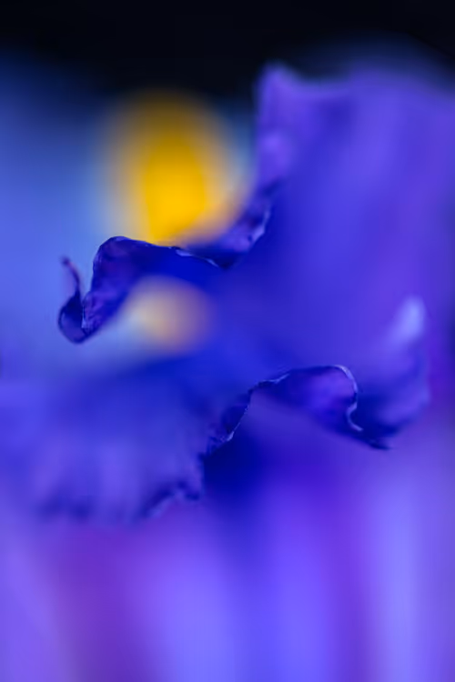 Item #24632583837492670092599633934589483131746797002802219579488358141536031997953 Media