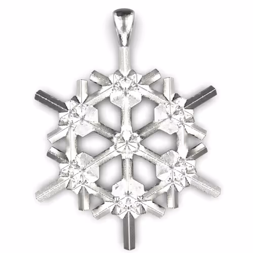 Special Snowflake Lot 0
