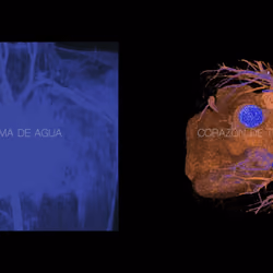 Alma de Agua Corazón de Tierra -Still- #01