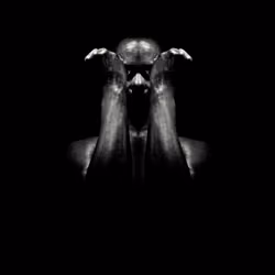 Melanated Symmetry 05