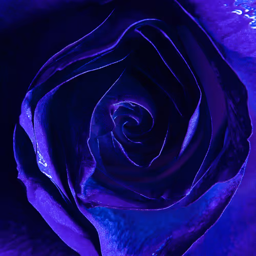 Flowerfarmnft