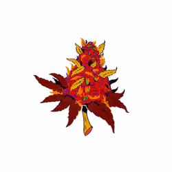 Peruvian Red Gold