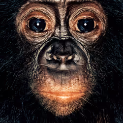 109162157552346088047496633038404394118504199992061596446112929761260826787841