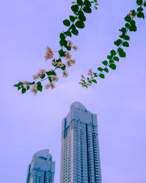 Item #105025572156970423279806083631740089086586526732791604564462752008803440394241 Media