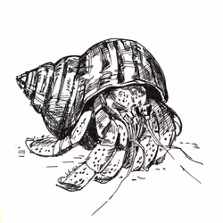 Hermit