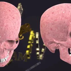 69046647551876631812407603757465421868469504969916764237364830219892865105921