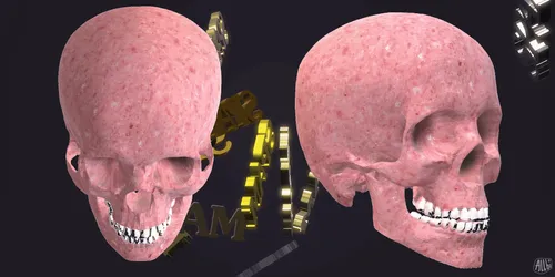 Item #69046647551876631812407603757465421868469504969916764237364830219892865105921 Media