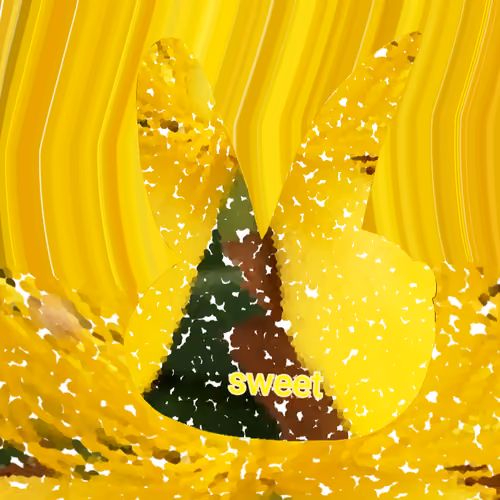 sweet floowers