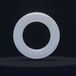 Torus #1