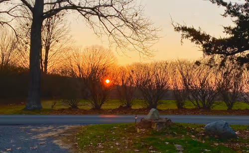 Item #11055945869368344522239947544098935470114969223831551671463462829796263723011 Media