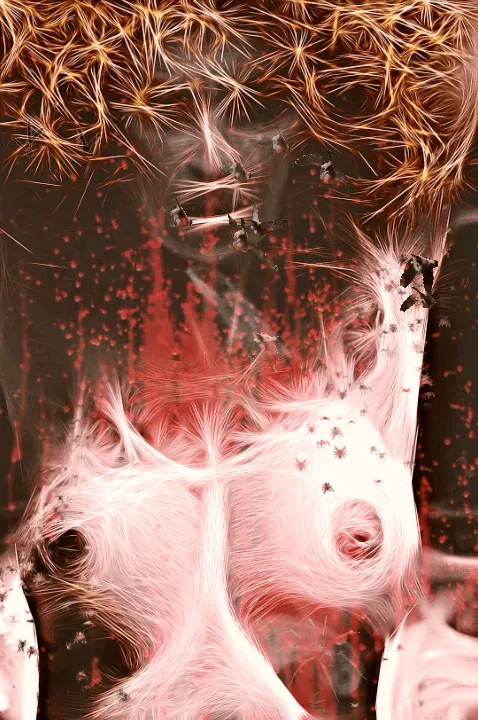 Item #80518717504374975416041144742422631461567993307113320487845617837597779820545 Media