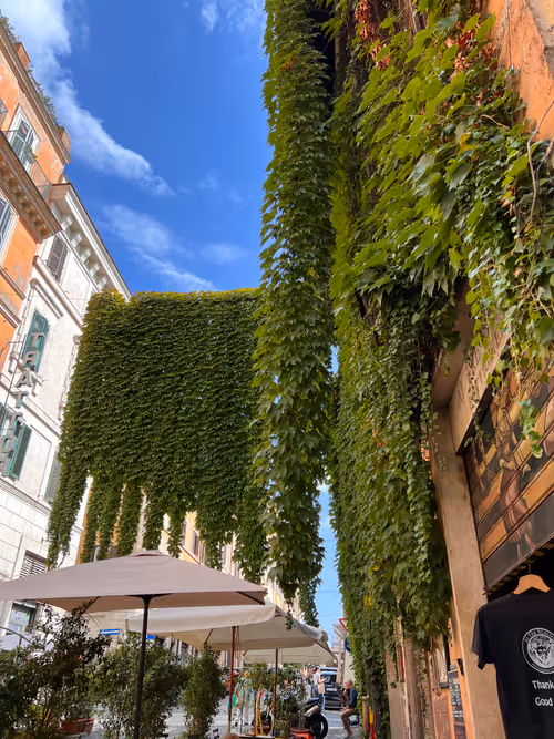 Item #106962716921335990762713992472161684452961633480742312471954214588724975501313 Media