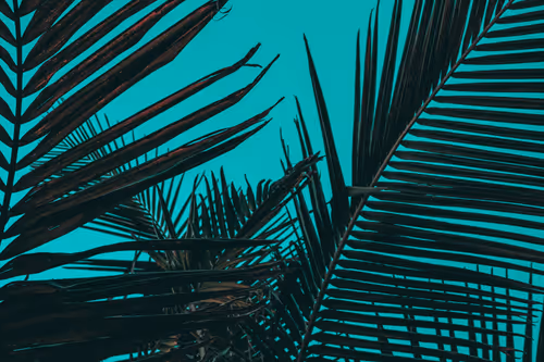 Item #35557780727049604459658880725917592814256363748111026780455796785991406059521 Media