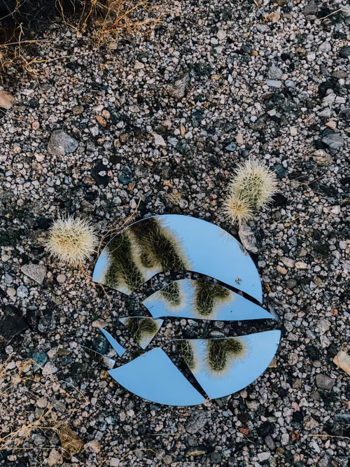 Item #57762364176817967113171601073029693715044262343455038936380107511344605954049 Media