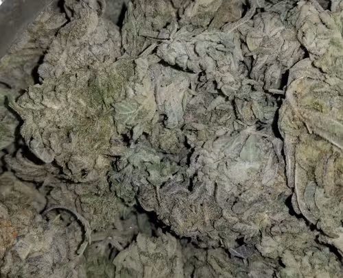 ikilldkenny Collection