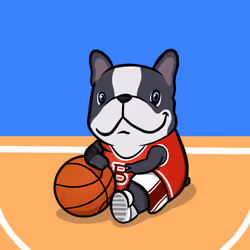 Boo Plays Basketball #037
