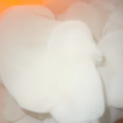 Breathing Ashes