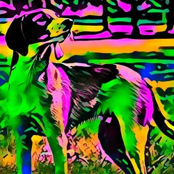 50830097462543580601473563981388698009005024090223633461481089756866065465345