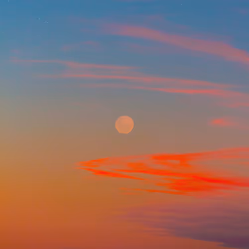 My Moons and Stars #52