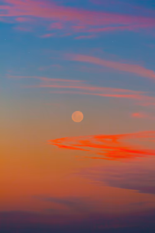 Item #9516099056367242152996622501750151802451978225621664057436231481942725361665 Media