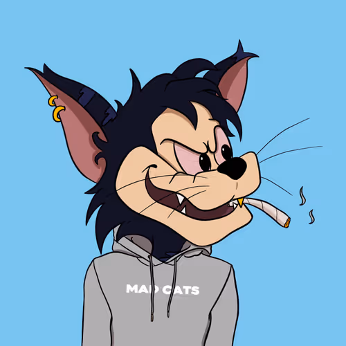 Mr Mad Cat