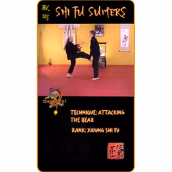 46812503073849428639084932571269419557595880976783390124449439601923119382529