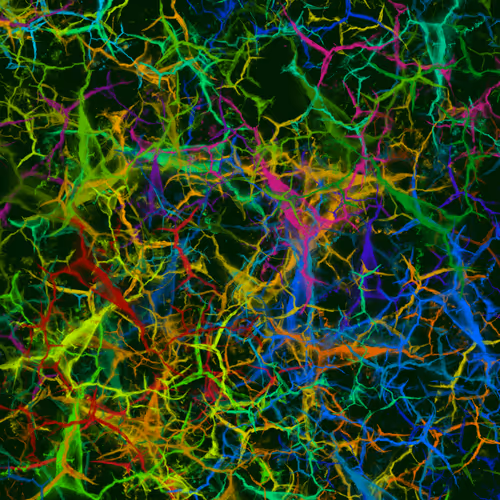 Item #50918555062582210159273167721725581522404743190091886750106034886092143984641 Media