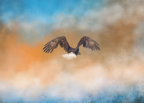 Item #20879904977050231781978559907445915739532146362246903749837269823748426432513 Media